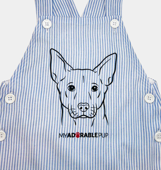 Baby Blue Toddler Overall