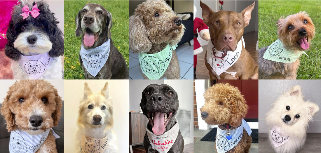 The Most Popular Dog Breeds of 2026 | My Adorable Pup