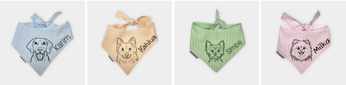 How to Style Your Dog: 5 Looks for Every Occasion