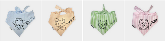How to Style Your Dog: 5 Looks for Every Occasion