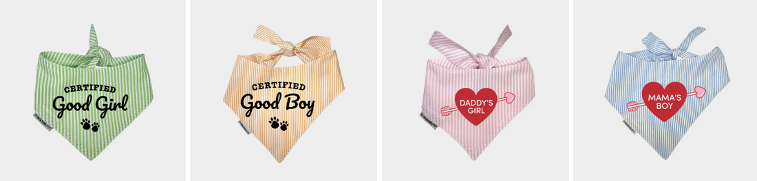 The Best Dog Bandanas for 2026: A Complete Guide
