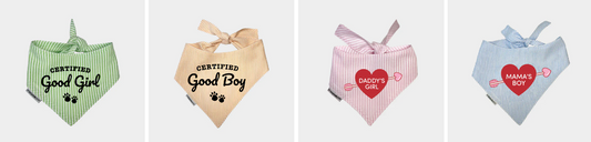 The Best Dog Bandanas for 2026: A Complete Guide