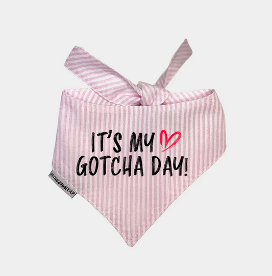 10 Ways to Celebrate Gotcha Day with Your Rescue Dog