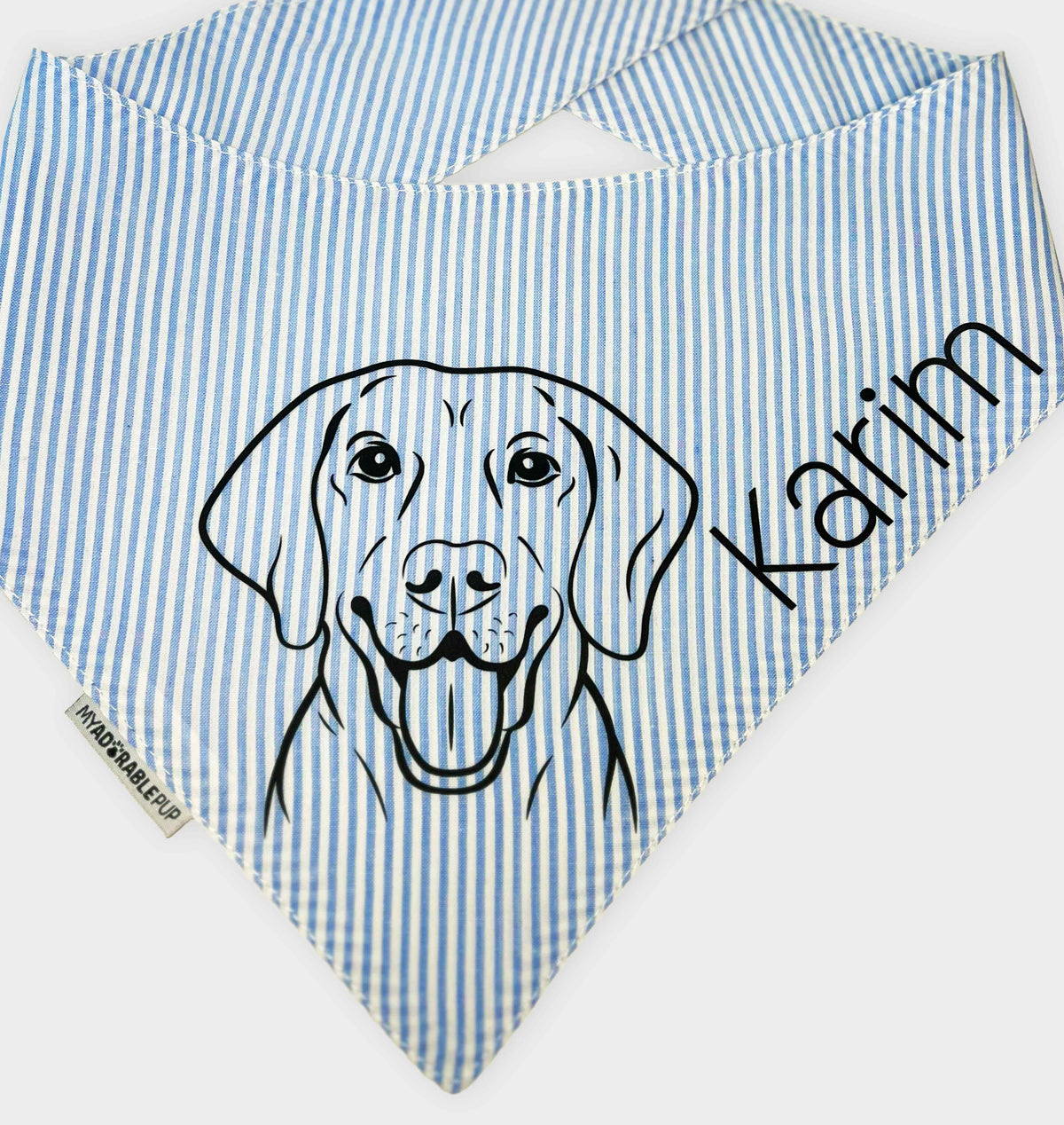 Personalized baby blue striped pet bandana with black dog face and name graphic