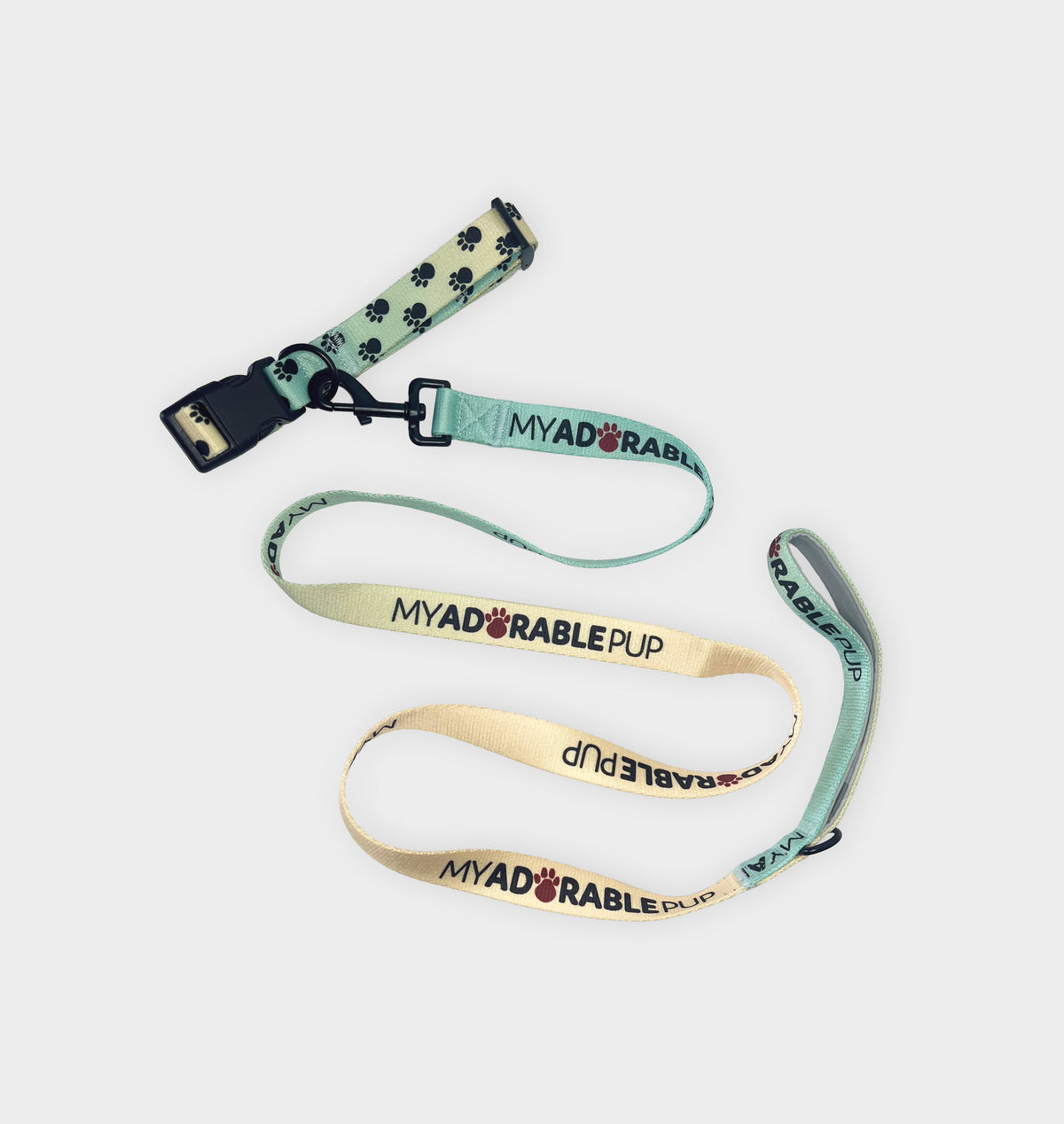 Leash & Collar