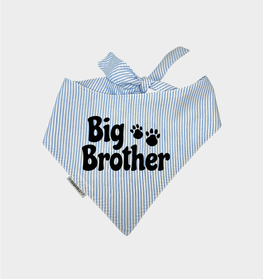 Big & Little Brother Signature Bandana