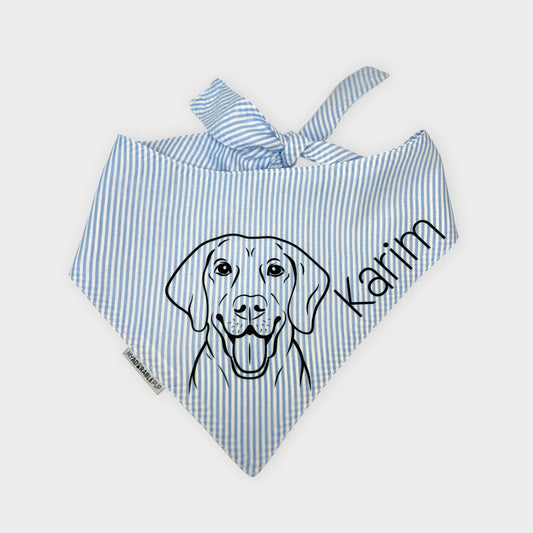 Baby Blue Bandana