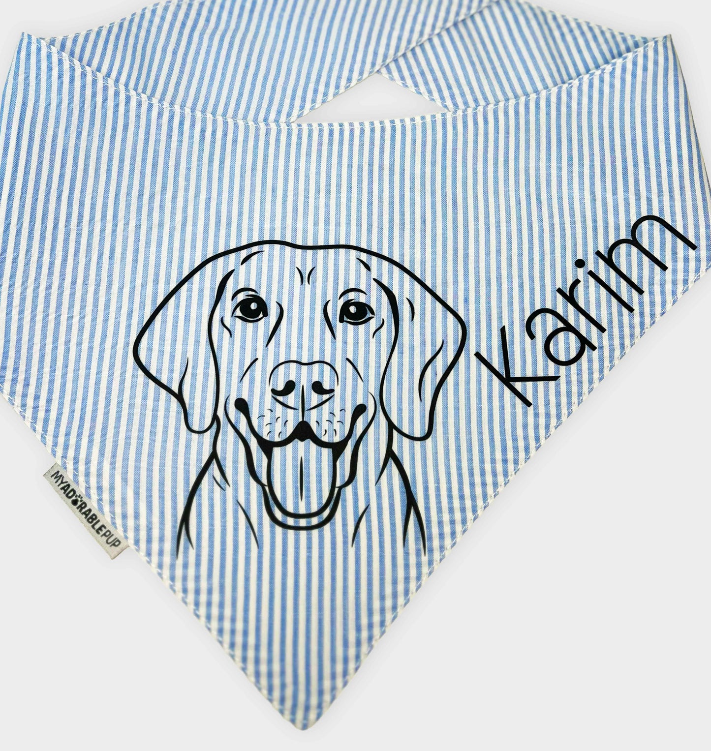 Baby Blue Bandana