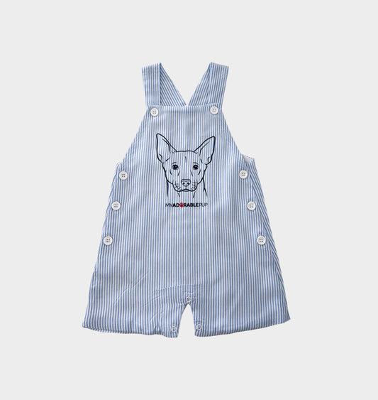Baby Blue Toddler Overall