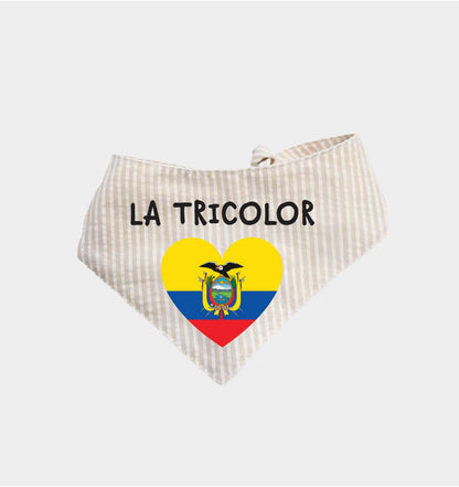 FIFA World Cup 2026 Soccer Bandana