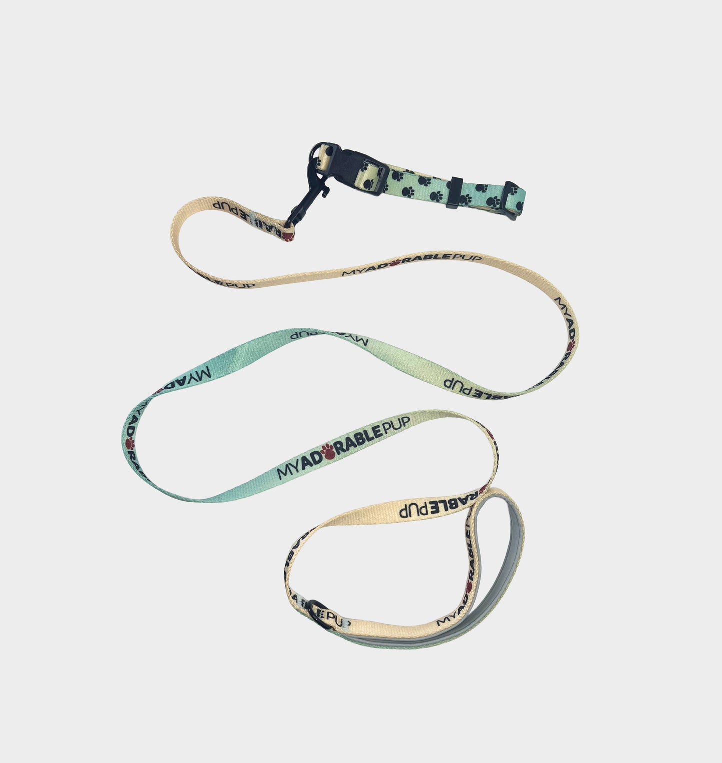 Leash & Collar