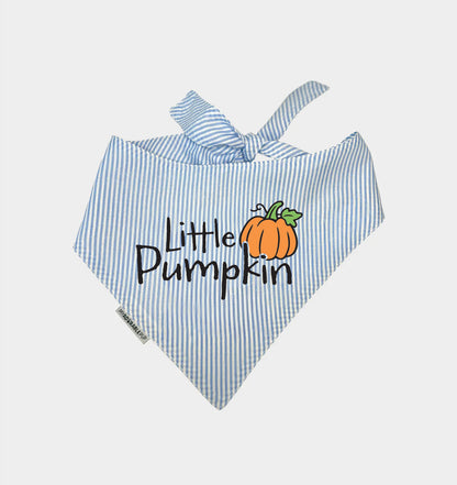 Blue striped dog bandana with bow and Little Pumpkin graphic