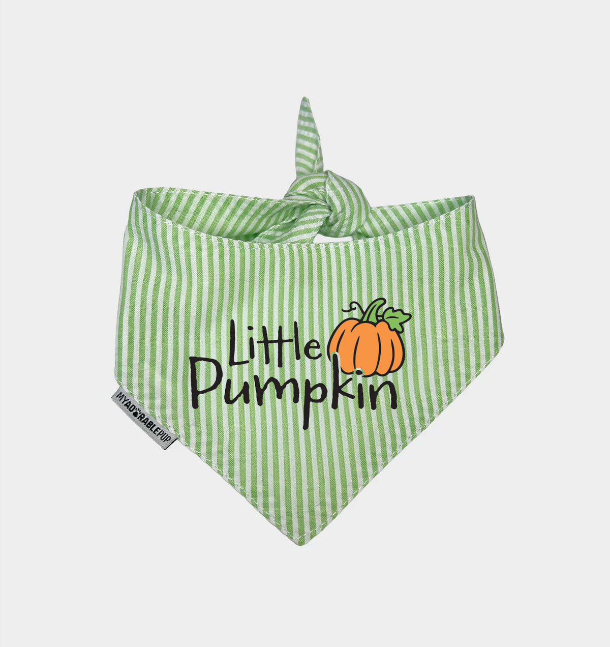 Green striped dog bandana with bow and Little Pumpkin graphic