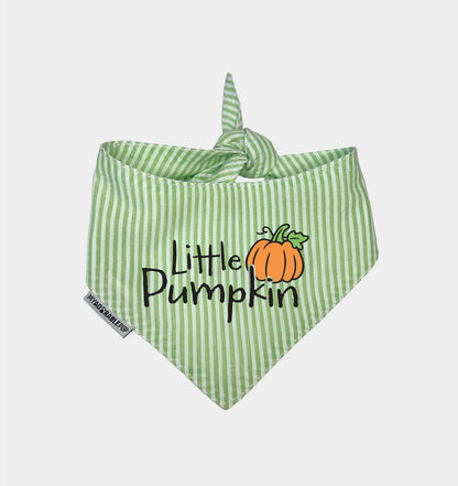 Green striped dog bandana with bow and Little Pumpkin graphic