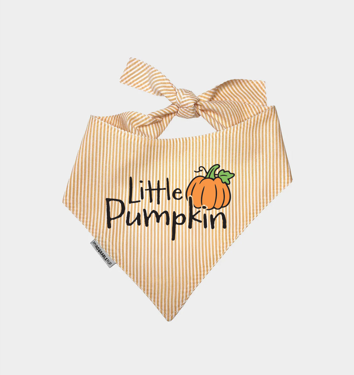 Orange striped dog bandana with bow and Little Pumpkin graphic