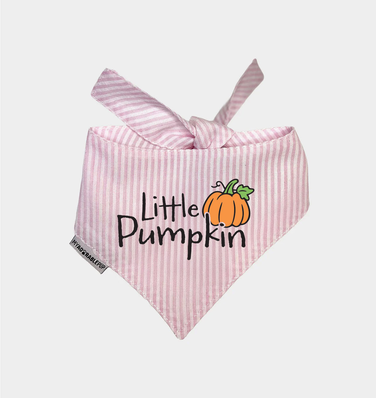Pink striped dog bandana with bow and Little Pumpkin graphic