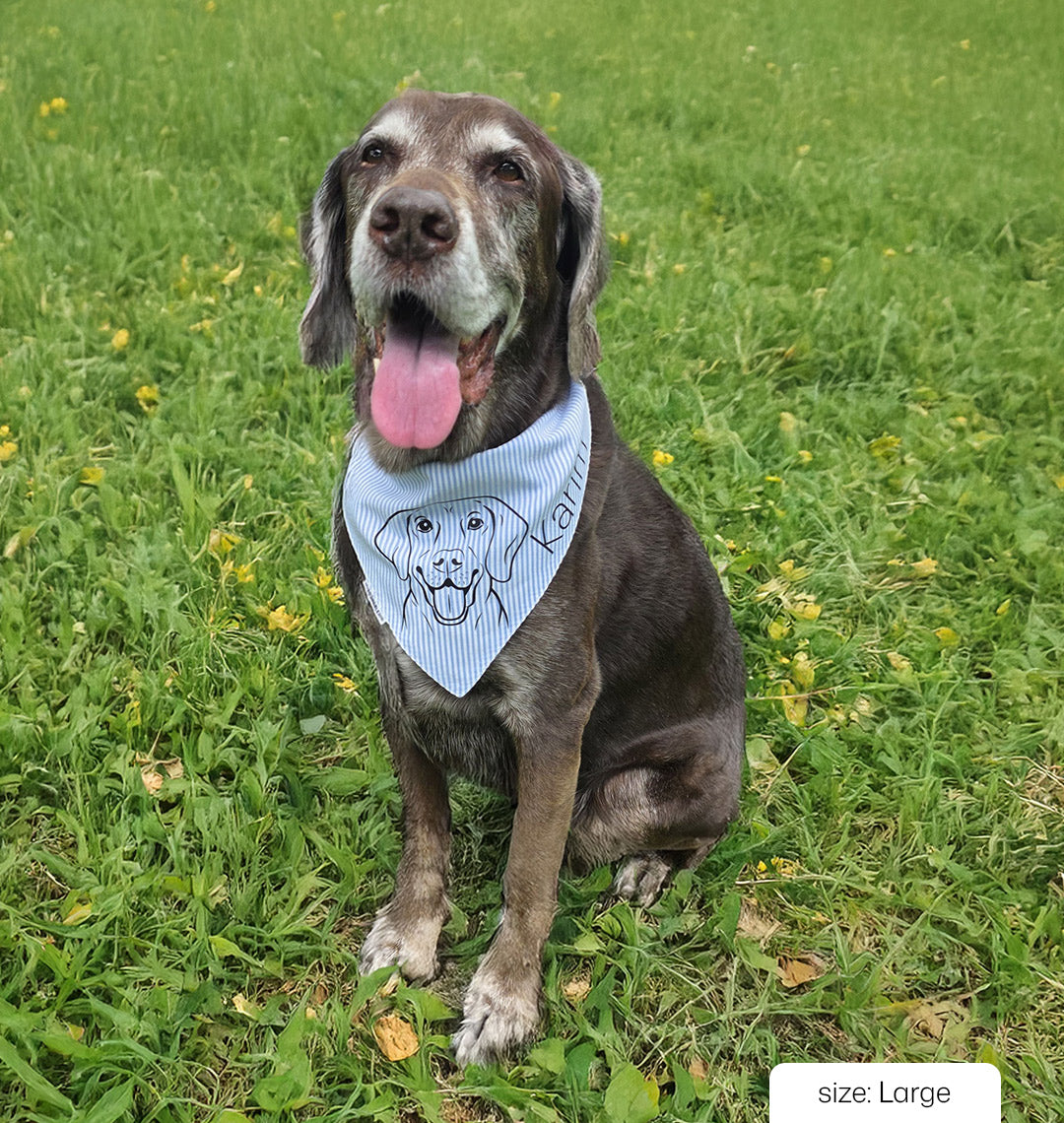 Personalized Baby Blue Signature Bandana
